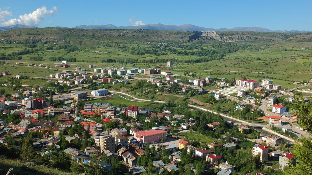 Herşey Alucra İçin